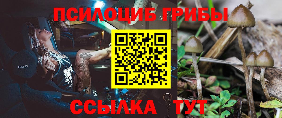 Псилоцибиновые грибы Magic Shrooms Белебей