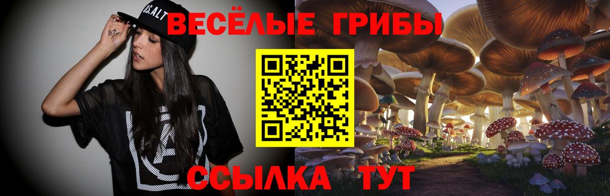 Псилоцибиновые грибы мицелий  цена наркотик  Белебей  Галлюциногенные грибы MAGIC MUSHROOMS  Вход с VPN 